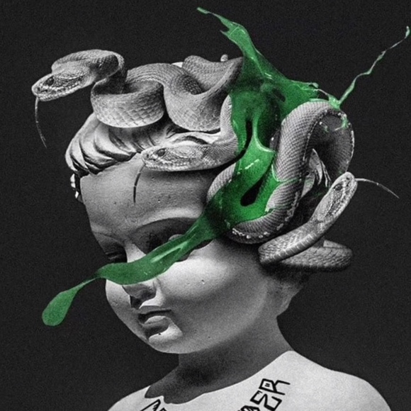 Meet your Posher, Riley - Picture 1 of 1